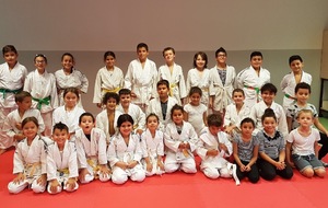 REPRISE au TOP au DOJO de LUPINO