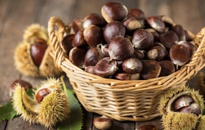 VACANCES DE LA TOUSSAINT :