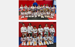 REMISES DES DIPLÔMES DE GRADES AU DOJO DE TOGA :