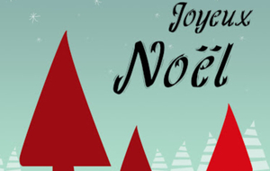 En espérant que le Père Noël aura été généreux :