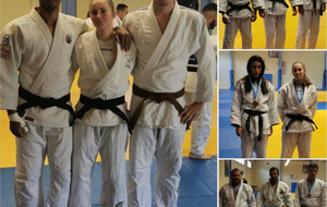 3 REPRÉSENTANTS AUX SENIORS À DORTE :