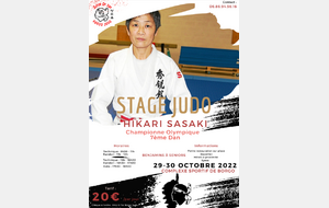 STAGE DU SHIN GI TAI BORGO A LA TOUSSAINT :