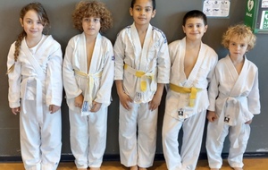 TOURNOI DE BORGO :  NOS MINI-POUSSINS POUR DÉBUTER CE LONG WE 🥋