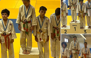 RÉSULTATS AU CRITERIUM RÉGIONAL BENJAMINS :