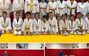 DOJO SOCIAL DE LUPINO :