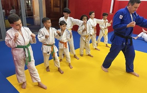 DOJO DE LUPINO :