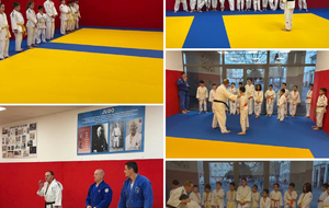 DOJO SOCIAL DE LUPINO :