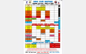 RÉINSCRIPTIONS au DOJO de LUPINO :