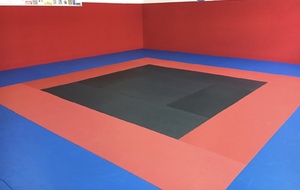 RÉINSCRIPTIONS au DOJO de TOGA :