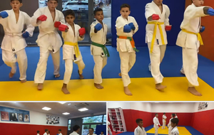 DOJO DE LUPINO :