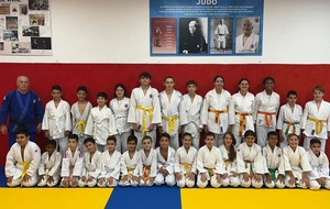 DOJO SOCIAL DE LUPINO :