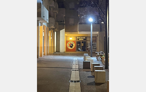 DOJO SOCIAL DE LUPINO :