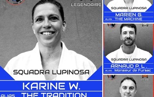 DOJO DE LUPINO :