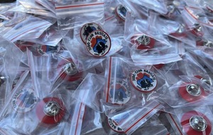 NOS PIN’S SONT ARRIVÉS
