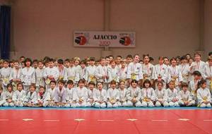 51470f573bf47_JCB Ajaccio Judo 13.jpg