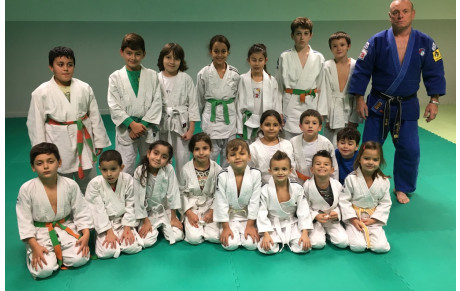 Dojo Social de LUPINO