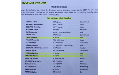 3 licenciés nominés aux Mouflon d'Or