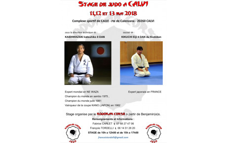 STAGE du KODOKAN CORSE :
