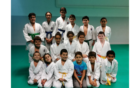 DOJO DE LUPINO :