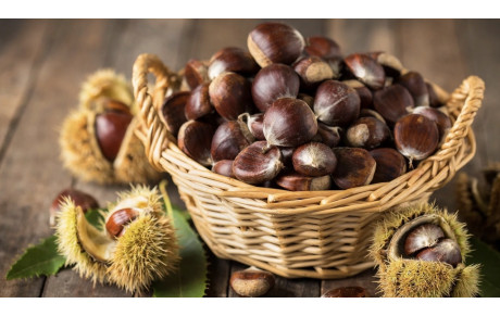 VACANCES DE LA TOUSSAINT :