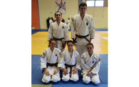 UV &amp; COMPÉTITIONS POUR LE 1* DAN :