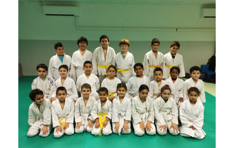 DOJO SOCIAL DE LUPINO : 