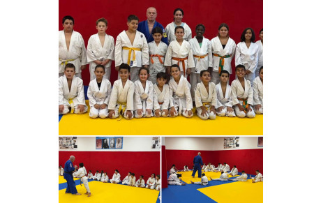 DOJO SOCIAL DE LUPINO :