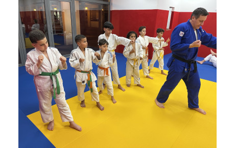 DOJO DE LUPINO :