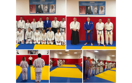 DOJO DE LUPINO :