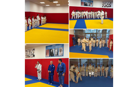 DOJO SOCIAL DE LUPINO :