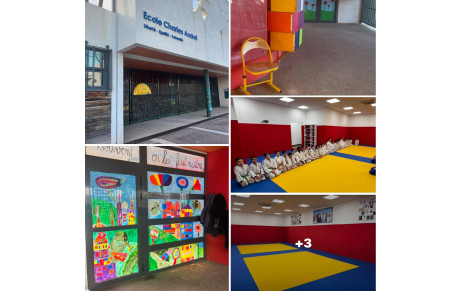 DOJO SOCIAL DE LUPINO :