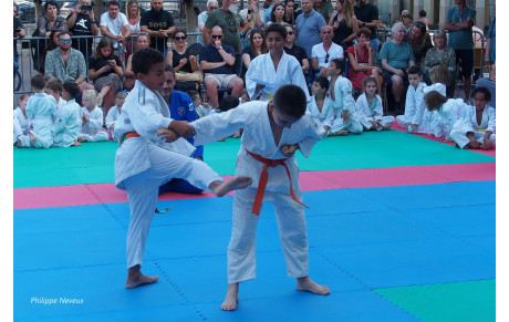 DÉMONSTRATION DE JUJITSU ENFANTS :