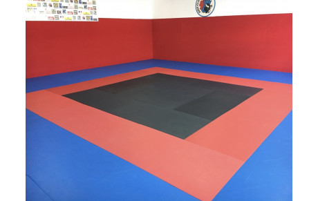 RÉINSCRIPTIONS au DOJO de TOGA :