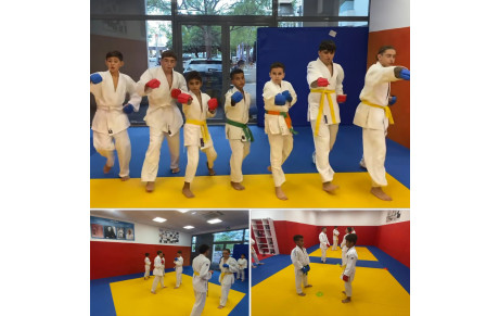 DOJO DE LUPINO :
