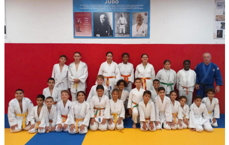 DOJO SOCIAL DE LUPINO :
