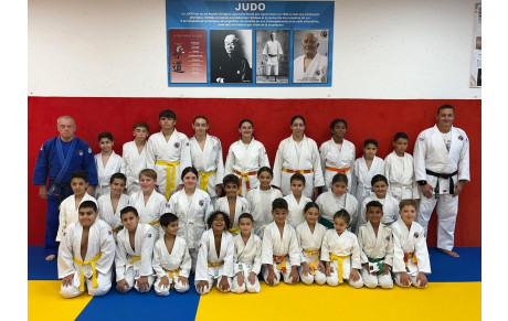 DOJO SOCIAL DE LUPINO :