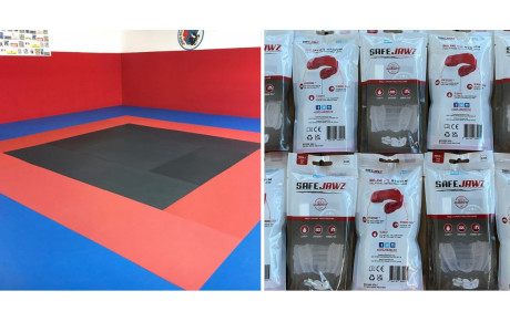 DOJOS DE LUPINO &amp; TOGA :