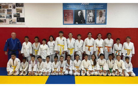 DOJO SOCIAL DE LUPINO :