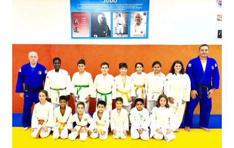 DOJO SOCIAL DE LUPINO :