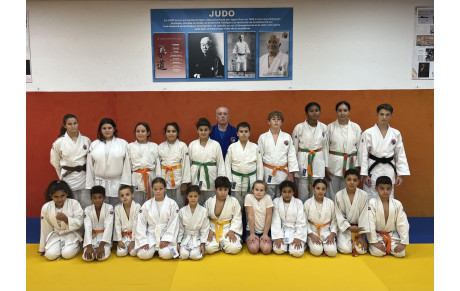 DOJO SOCIAL DE LUPINO :