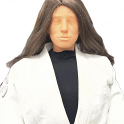 DOJO DE LUPINO :